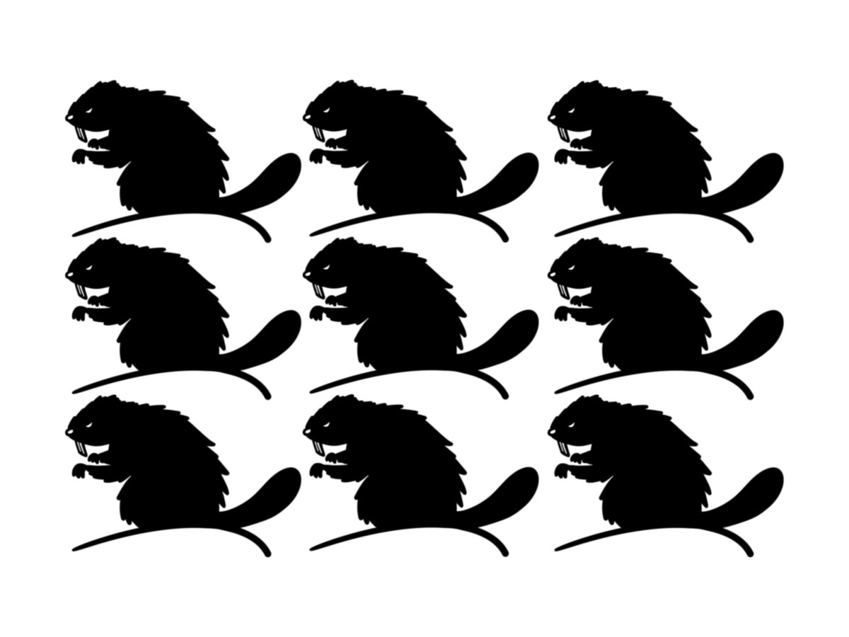 Best Horror Movies on Tubi: Zombeavers&nbsp;(2014)